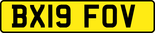 BX19FOV