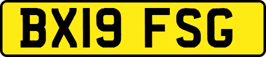 BX19FSG