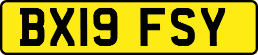 BX19FSY