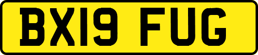 BX19FUG