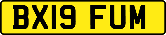 BX19FUM