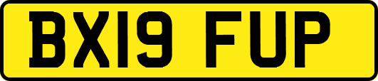 BX19FUP