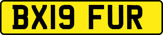 BX19FUR