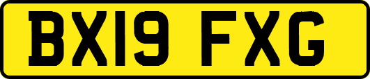 BX19FXG
