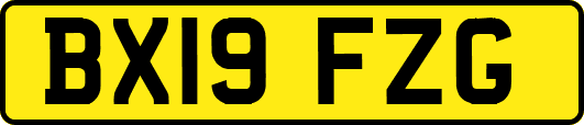 BX19FZG