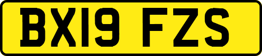 BX19FZS