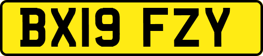 BX19FZY