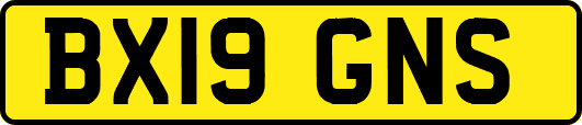 BX19GNS