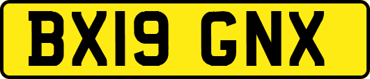 BX19GNX