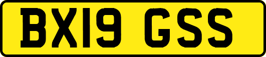 BX19GSS