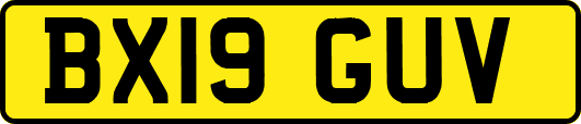 BX19GUV