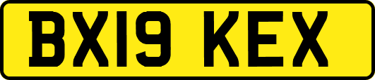BX19KEX