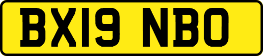 BX19NBO