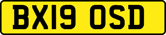 BX19OSD