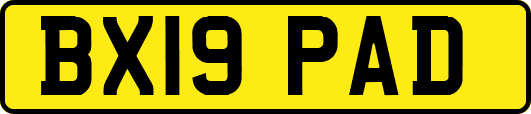 BX19PAD