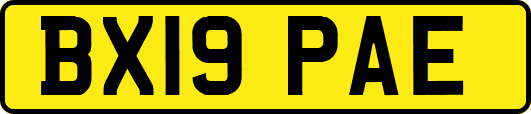 BX19PAE