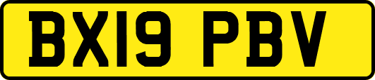 BX19PBV