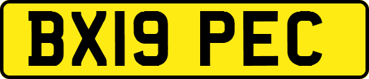 BX19PEC