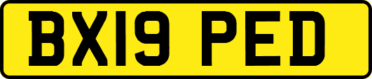 BX19PED