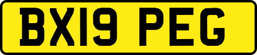 BX19PEG