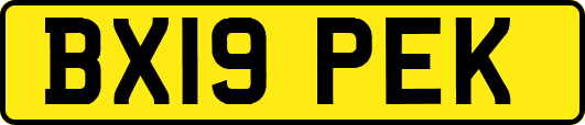 BX19PEK