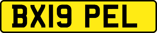 BX19PEL