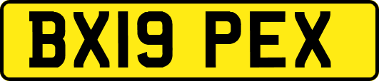 BX19PEX