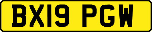 BX19PGW