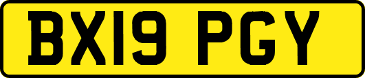 BX19PGY