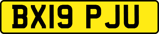 BX19PJU