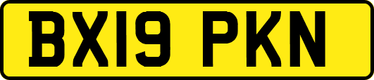 BX19PKN