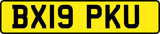 BX19PKU