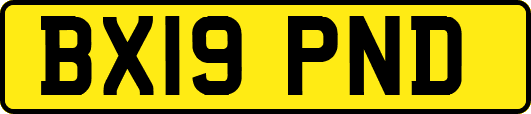 BX19PND