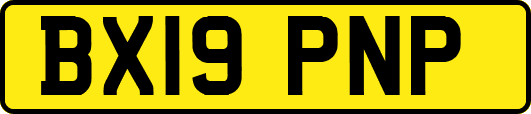 BX19PNP