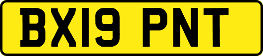 BX19PNT