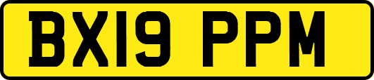 BX19PPM