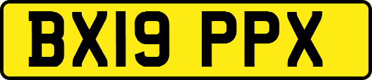 BX19PPX