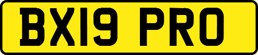 BX19PRO