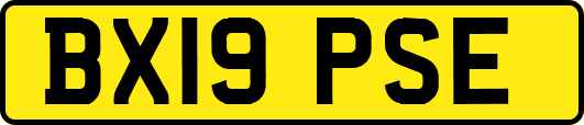 BX19PSE