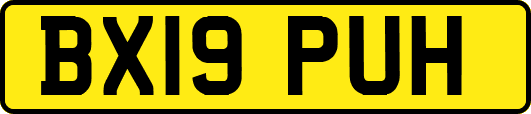 BX19PUH