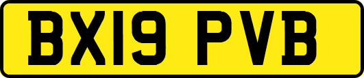 BX19PVB