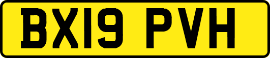 BX19PVH