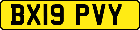 BX19PVY