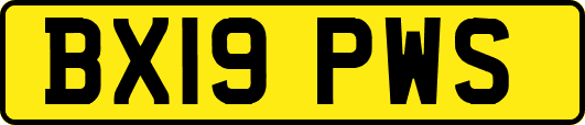 BX19PWS