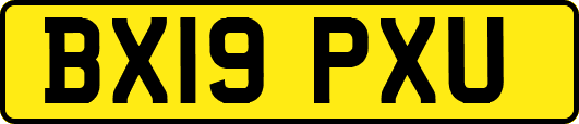 BX19PXU