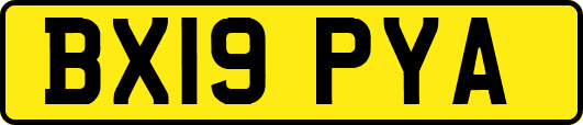 BX19PYA