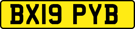 BX19PYB