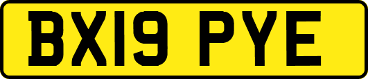 BX19PYE