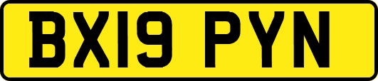 BX19PYN