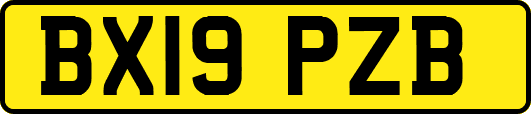 BX19PZB